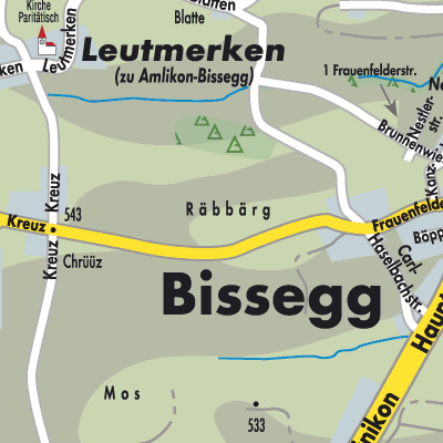 Stadtplan Amlikon-Bissegg