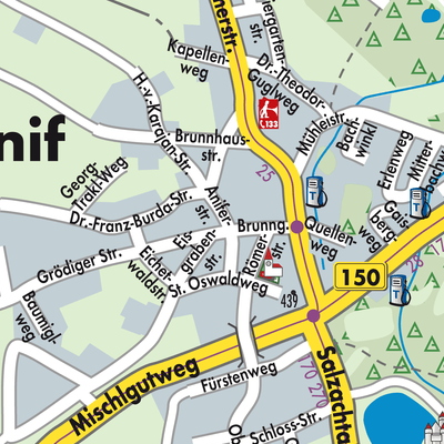 Stadtplan Anif