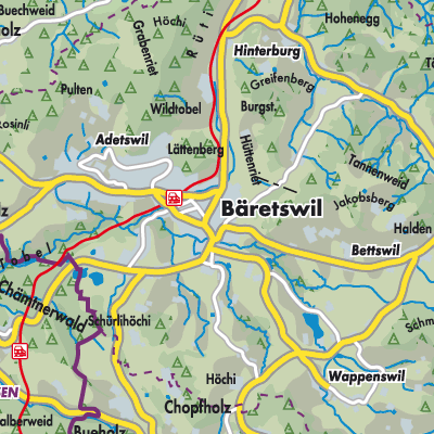 Übersichtsplan Bäretswil