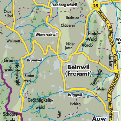 Übersichtsplan Beinwil (Freiamt)