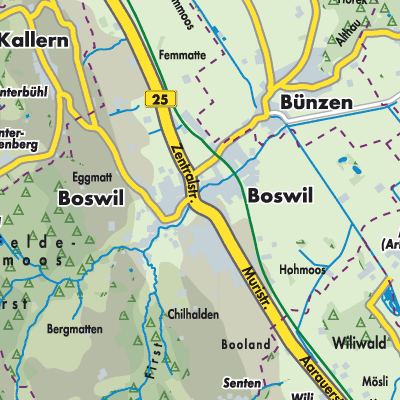 Übersichtsplan Boswil