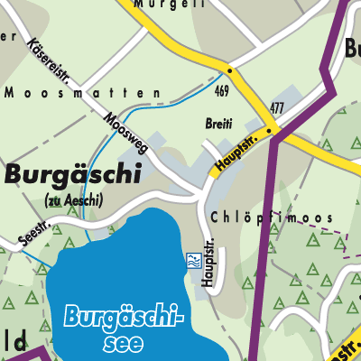 Stadtplan Burgäschi