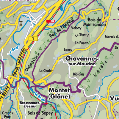 Übersichtsplan Chavannes-sur-Moudon