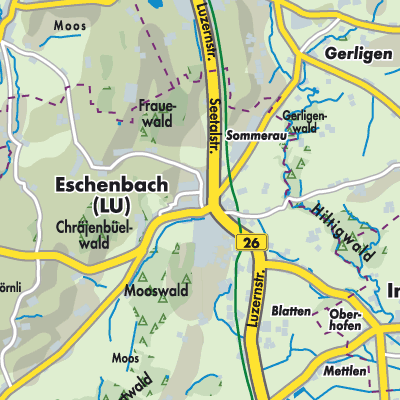 Übersichtsplan Eschenbach (LU)
