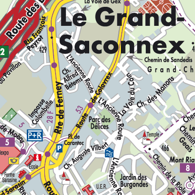 Stadtplan Le Grand-Saconnex