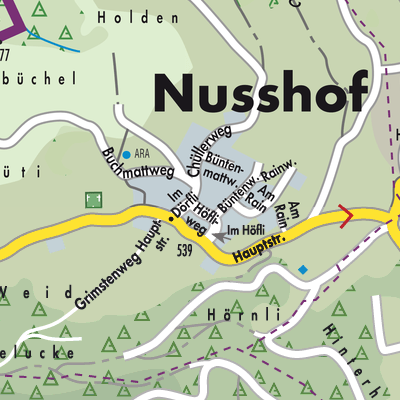 Stadtplan Nusshof