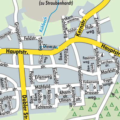 Stadtplan Schwann